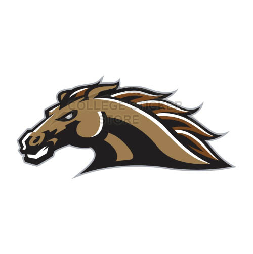 Diy Western Michigan Broncos Iron-on Transfers (Wall Stickers)NO.6993